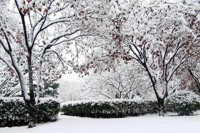 山東畫(huà)室找哪家